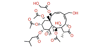 Gemmacolide Q